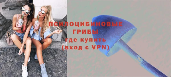 спайс Богородицк