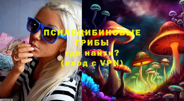 МДПВ Бронницы