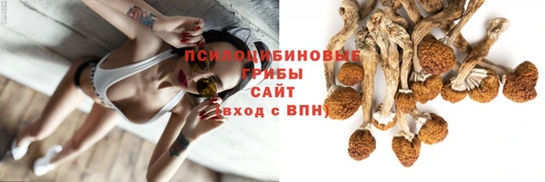 ГАЛЛЮЦИНОГЕННЫЕ ГРИБЫ Беломорск