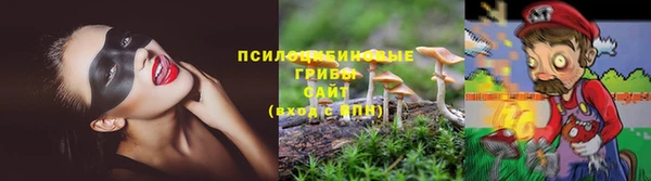 jwh Бородино