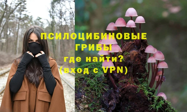 спайс Богородицк