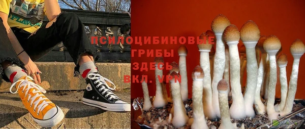 Альфа ПВП Богородск
