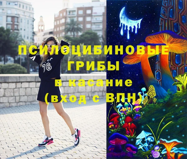 спайс Богородицк