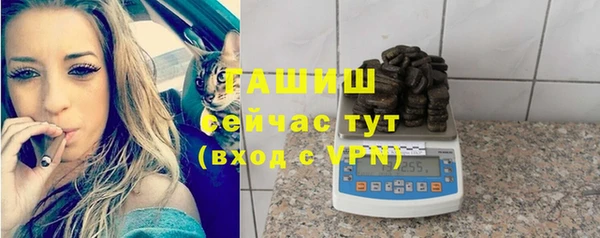 шишки Заволжье