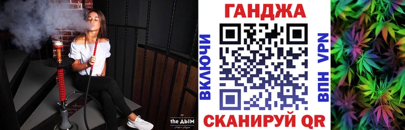 как найти закладки  Вилючинск  Шишки марихуана сатива 